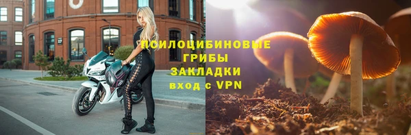apvp Беломорск