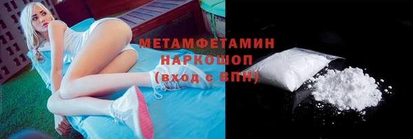 гидра Белокуриха