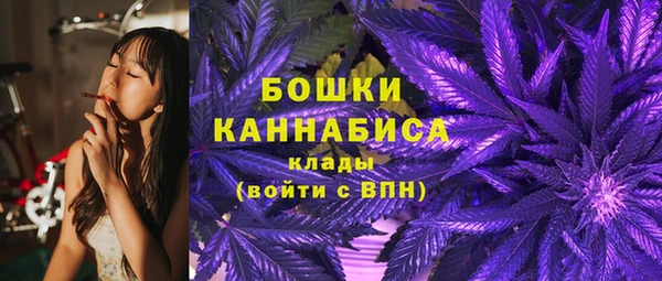гидра Белокуриха