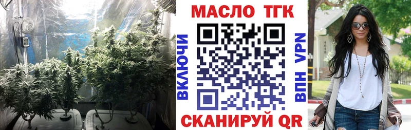 Купить закладки  Сорск  ТГК жижа 