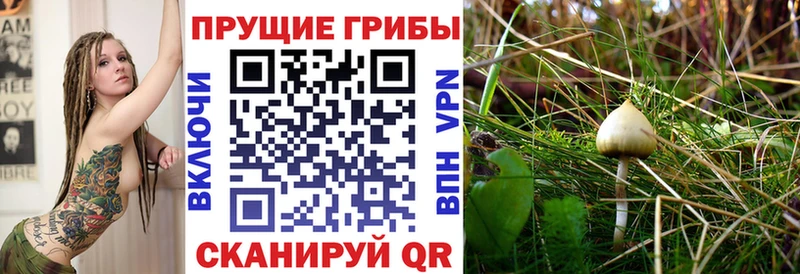 Галлюциногенные грибы GOLDEN TEACHER  Купить  Сорск 
